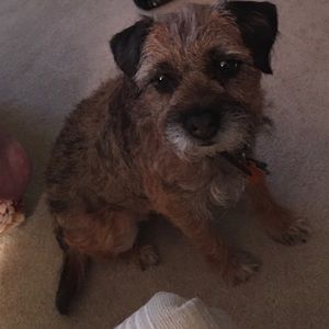 Meet your Posher, Loretta